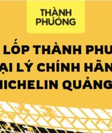 dai-ly-lop-michelin-quang-ngai-1