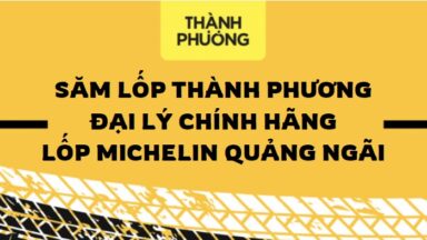 dai-ly-lop-michelin-quang-ngai-1